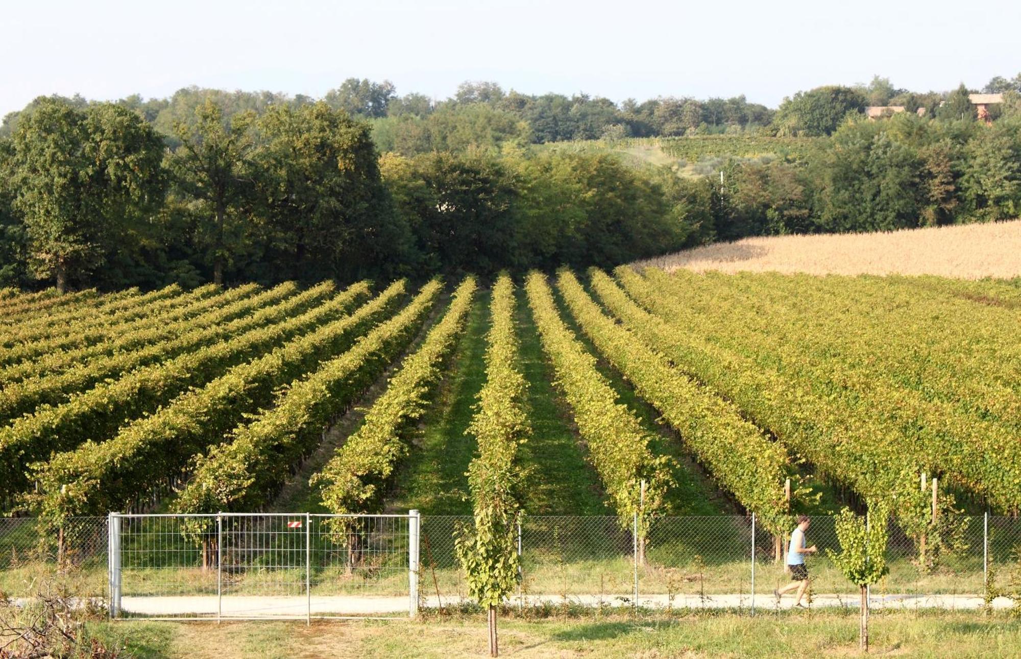 Caspineda Agriturismo Монтебелуна Екстериор снимка