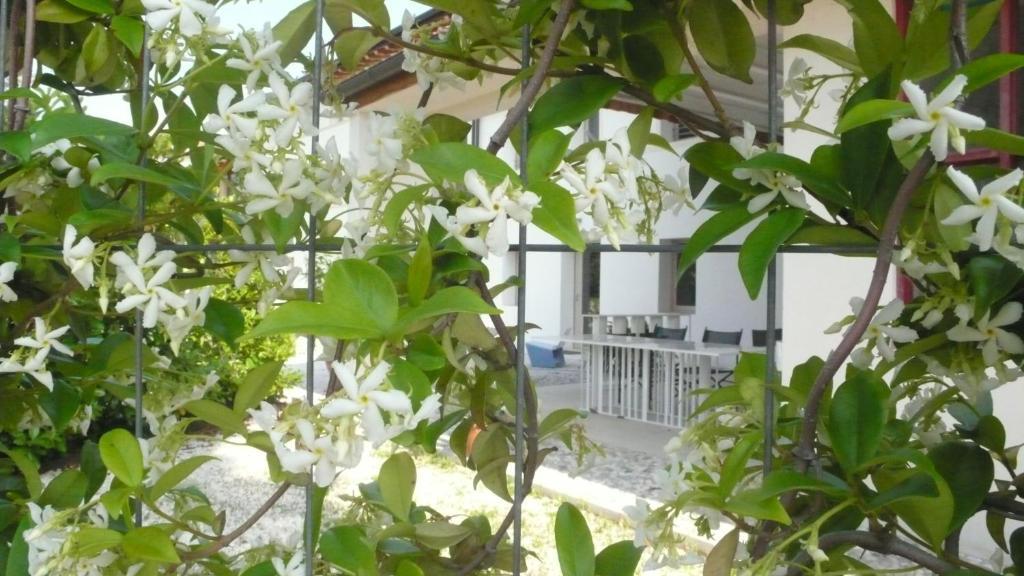 Caspineda Agriturismo Монтебелуна Екстериор снимка